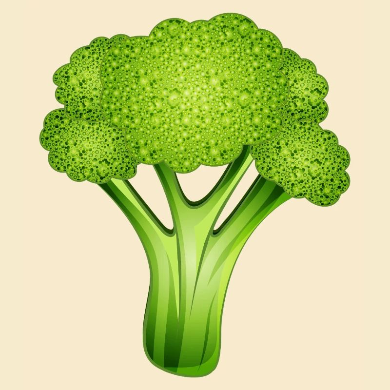 Brocoli vert vif dans un style bande dessinée élégant