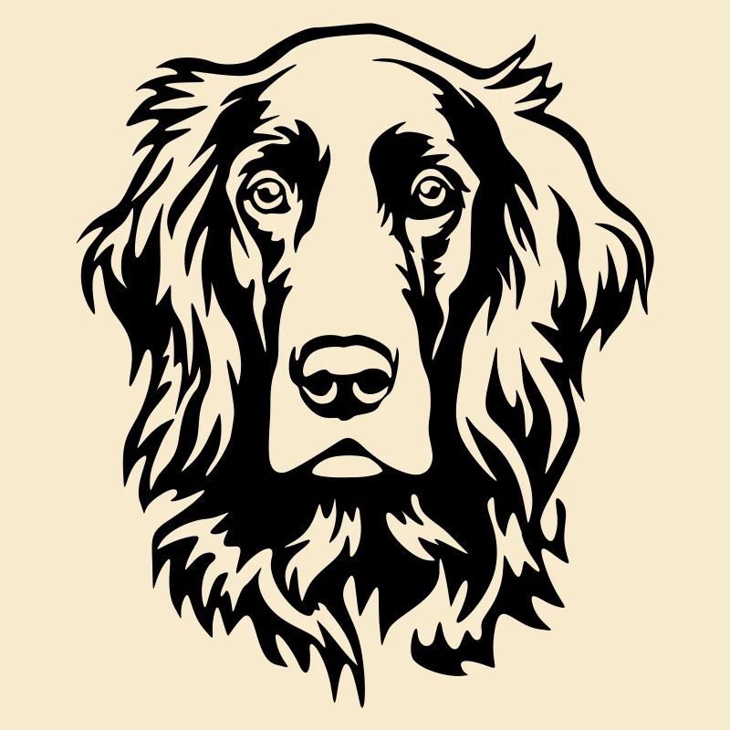 Irish Setter Kopf