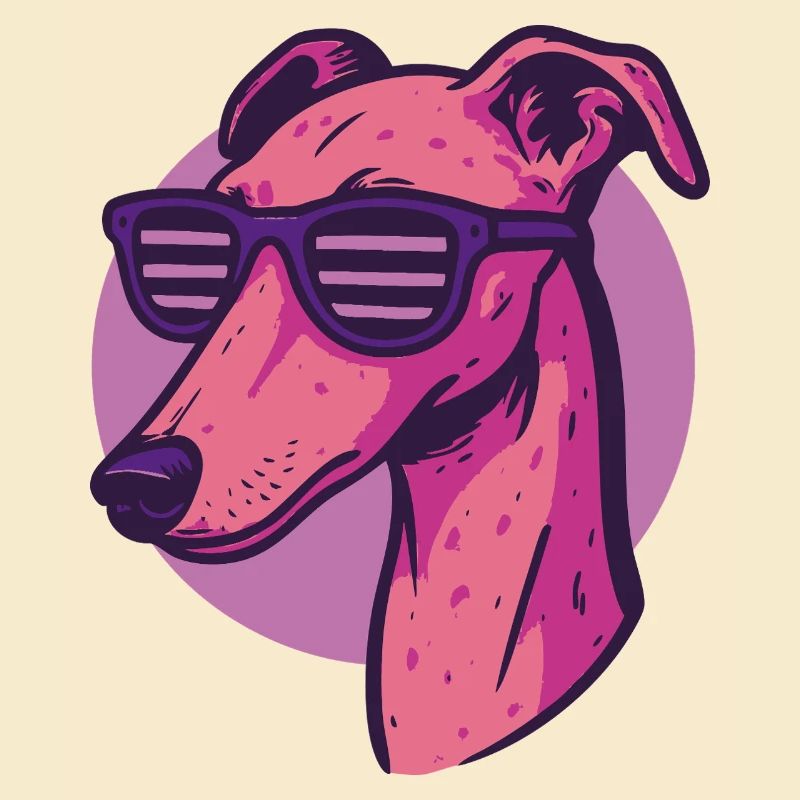 Windhund, Galgo