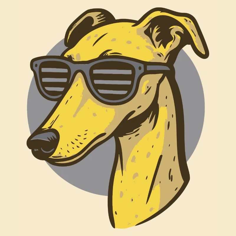 Windhund, Galgo