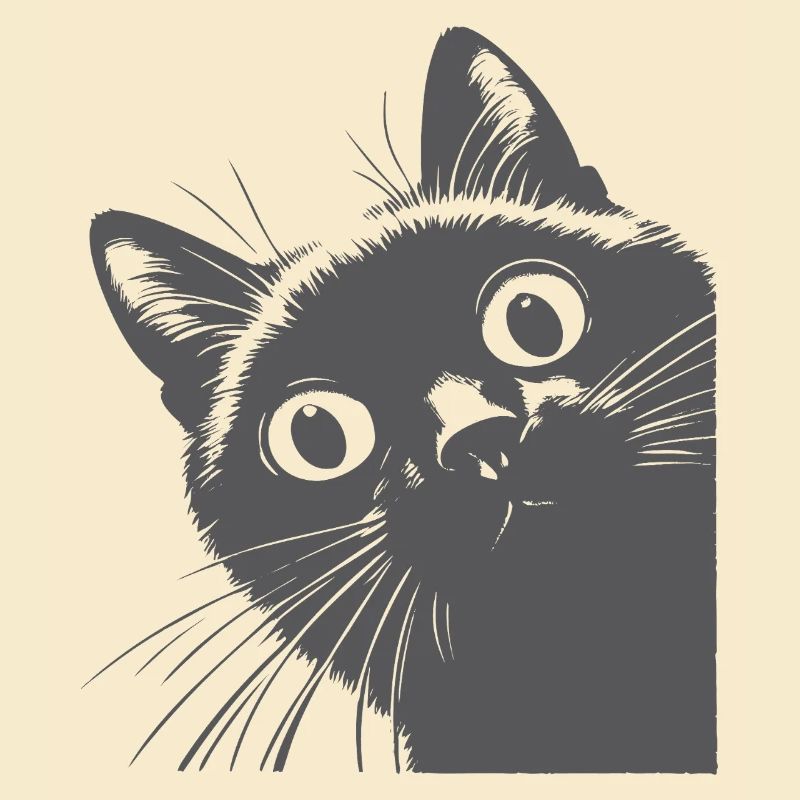 schwarze Katze