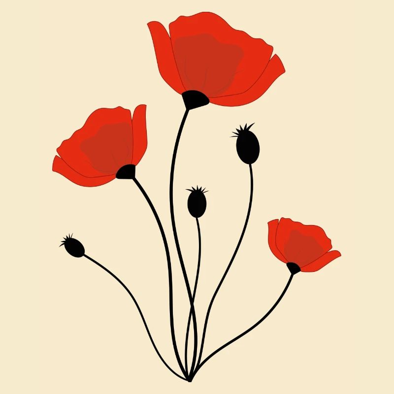 corn poppy