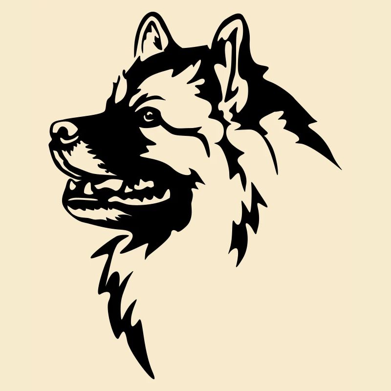 Wolfsspitz Kopf