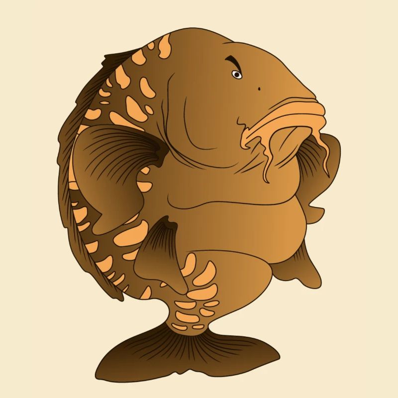 Design de pêche de la carpe miroir en forme de dessin animé