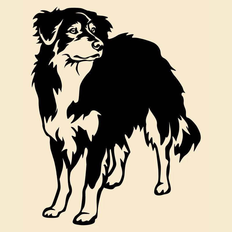 Australian Shepherd