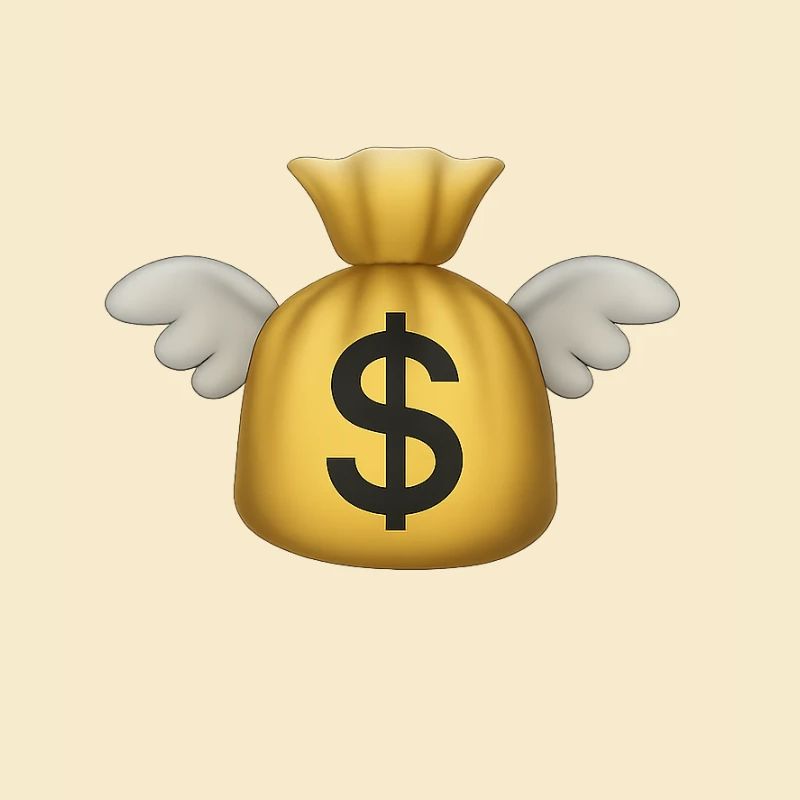 Geld fliege