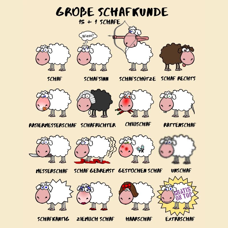 Great sheep knowledge