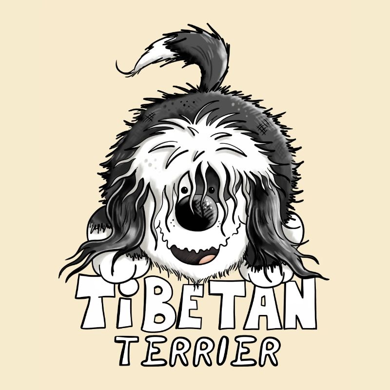 Süßer Tibet Terrier
