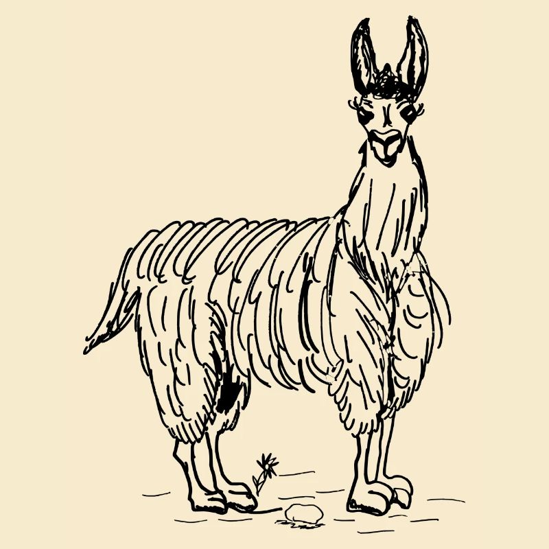 Lama