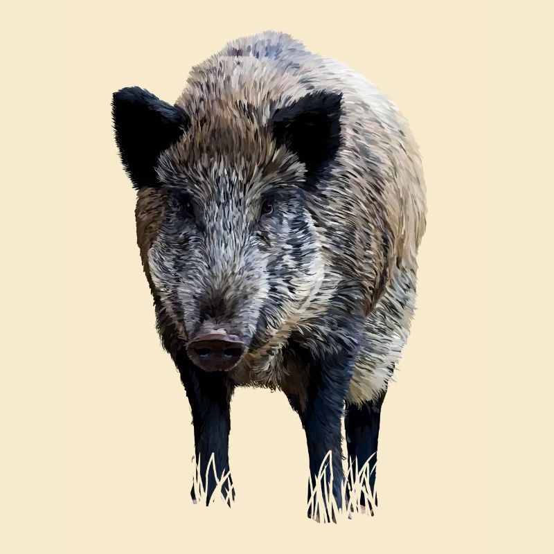 Sanglier