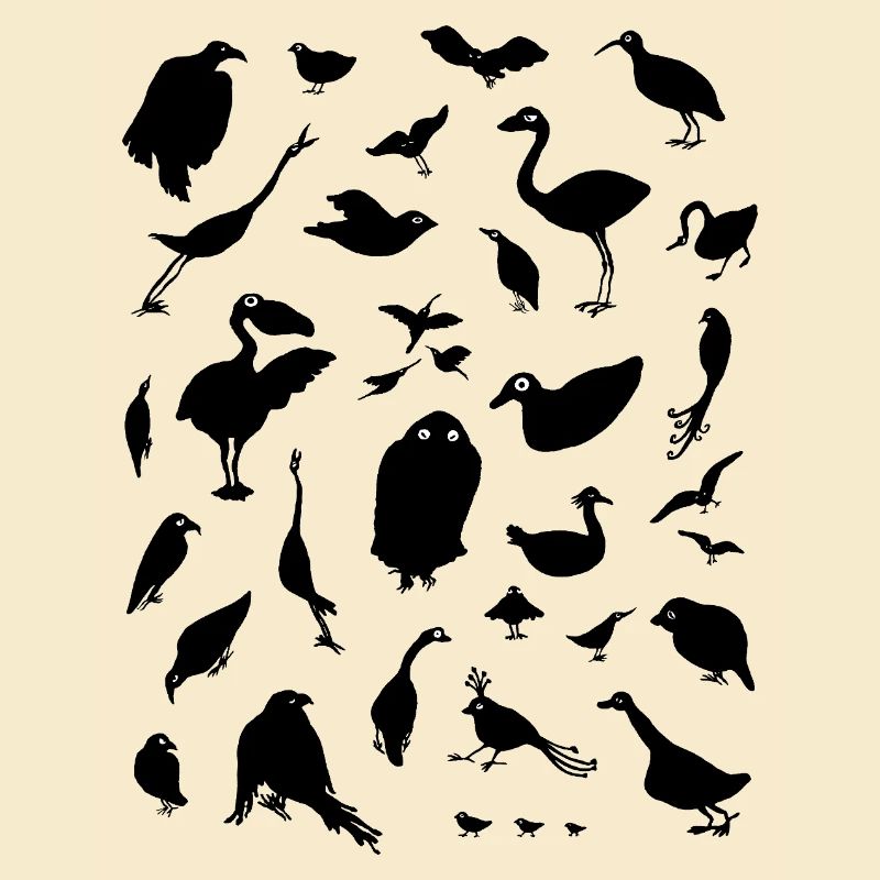Vögel