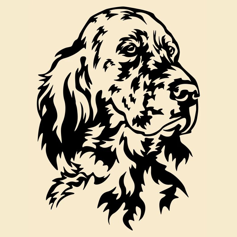 Englischer Setter Kopf