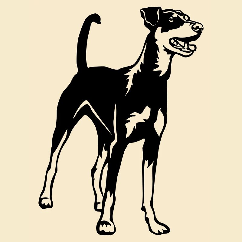 Deutscher Pinscher