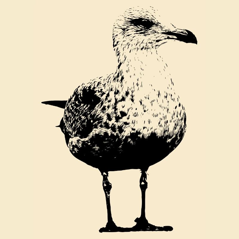 Mouette