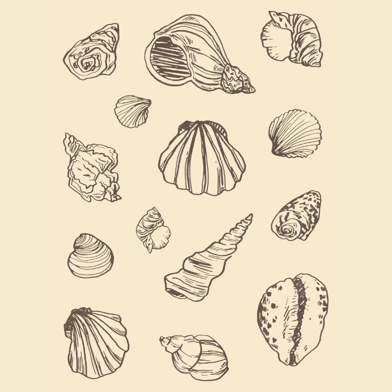 MOULES