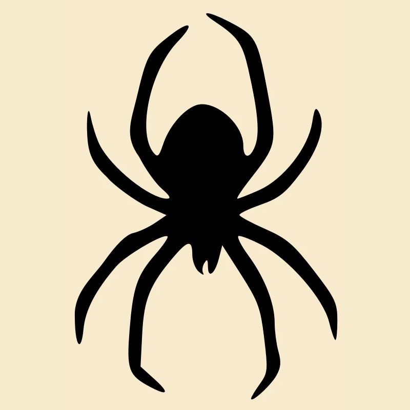spider