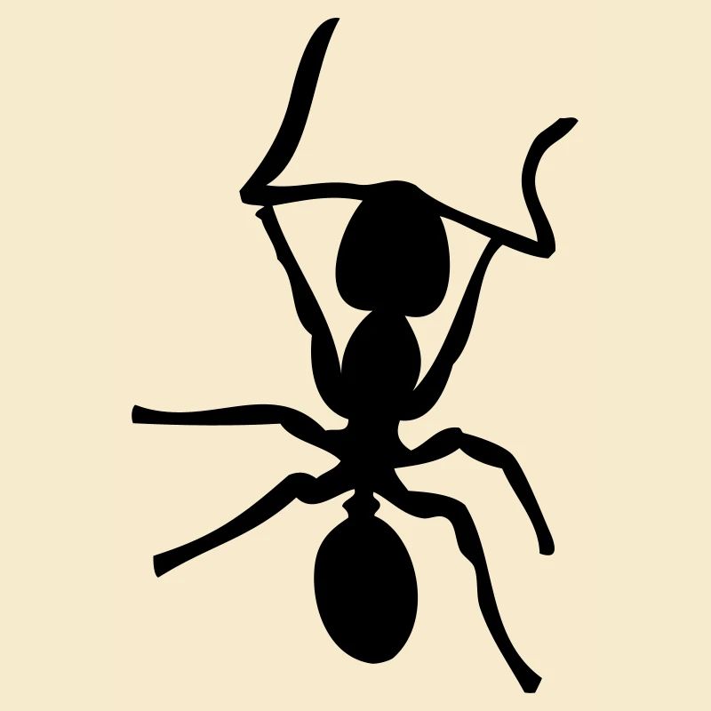 Ant - Insect - Ants