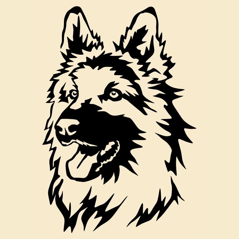 Deutscher Schäferhund Kopf