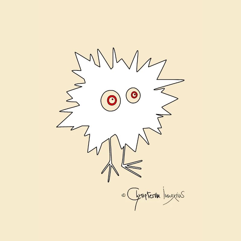 Woolly Beastie flashed © Chyropterum Innoxius