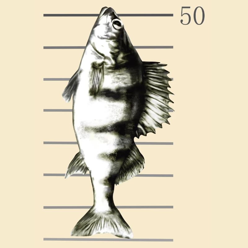 Pêche à la perche