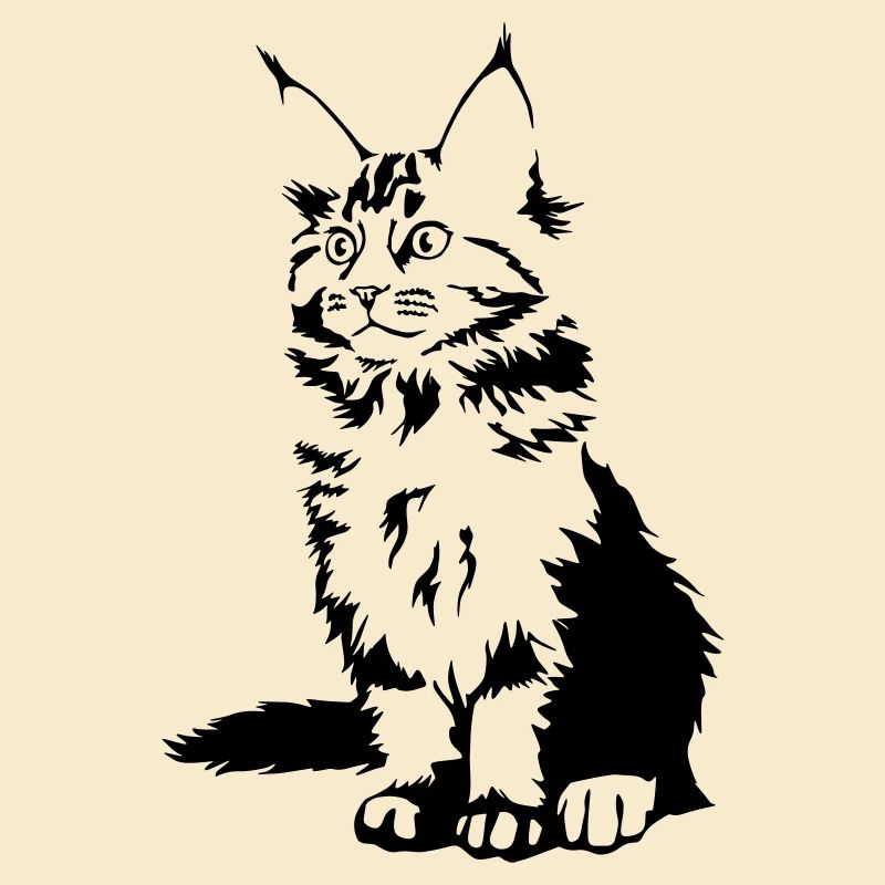 Maine Coon Cat