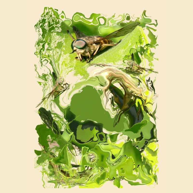 Insecte