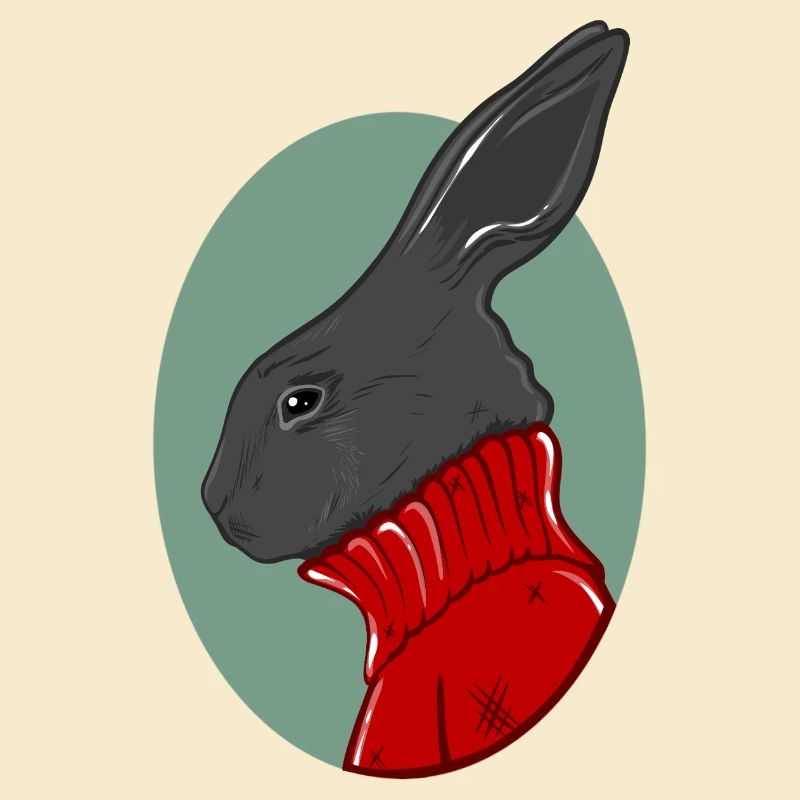 Lapin avec un pull rouge