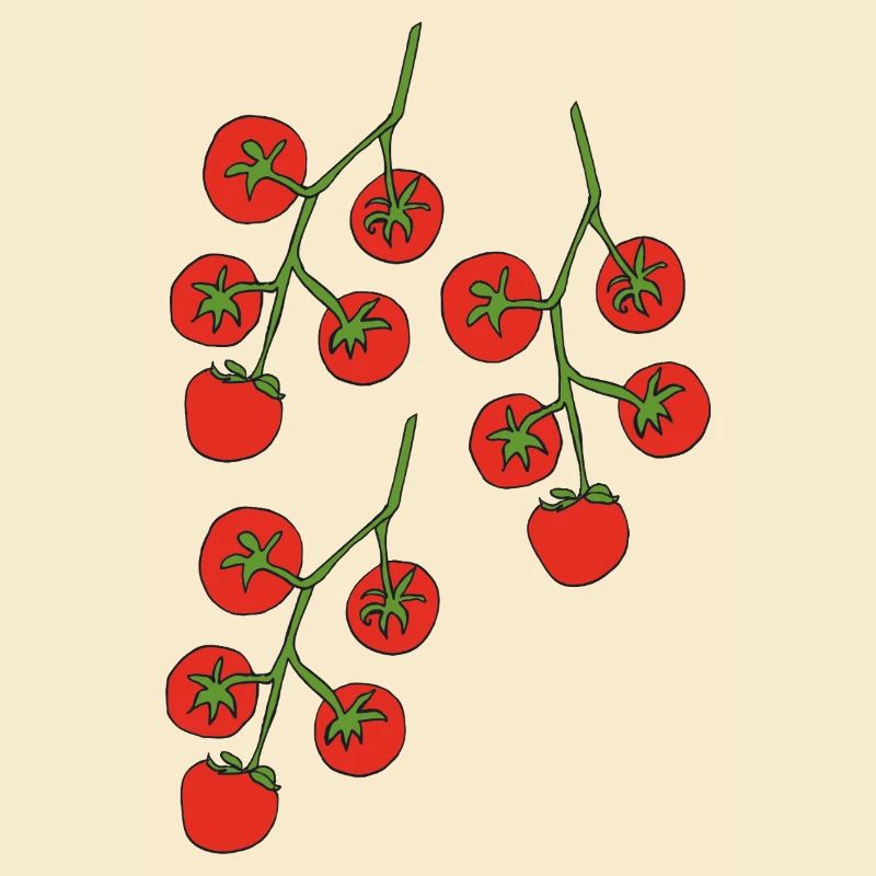 Buisson de tomates triple