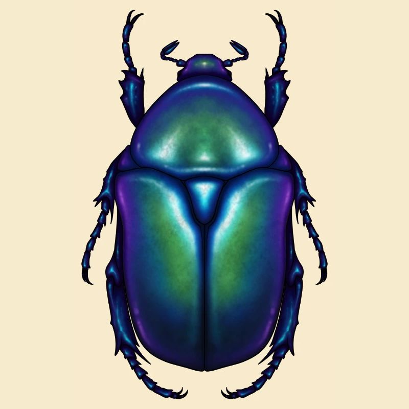 Blue Flowerbeetle