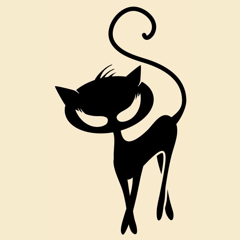 A black cat