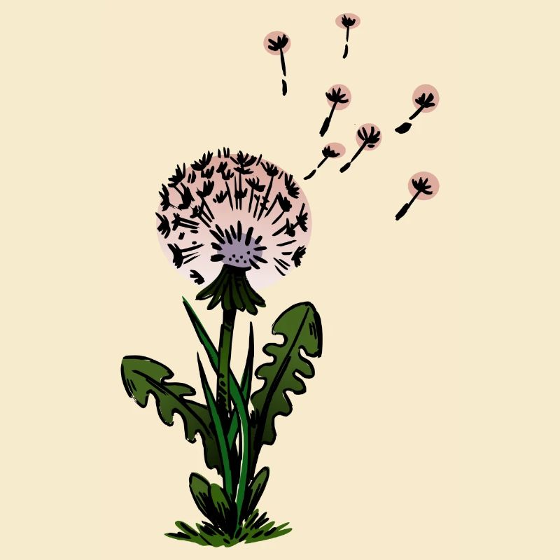 Löwenzahn Träumerische Blüten