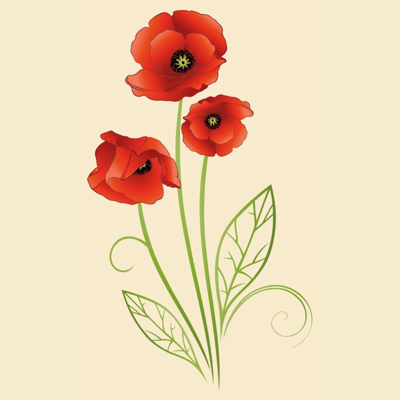 Coquelicots avec des feuilles de filigrane. Été.