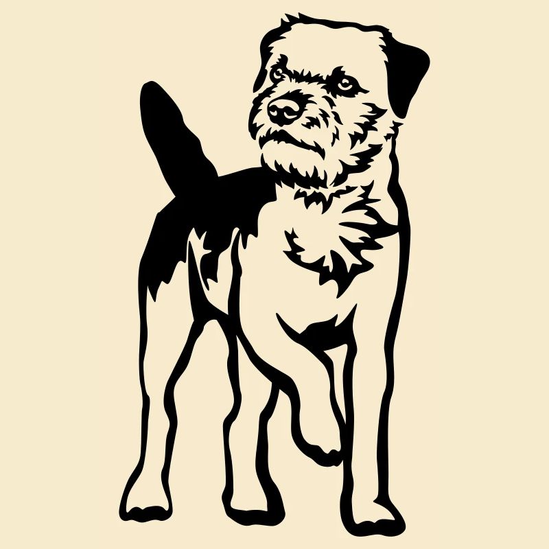 Border Terrier