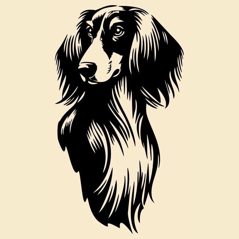 Tête de Saluki