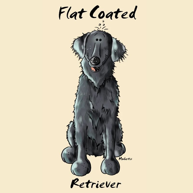 Funny Flat Coated Retriever