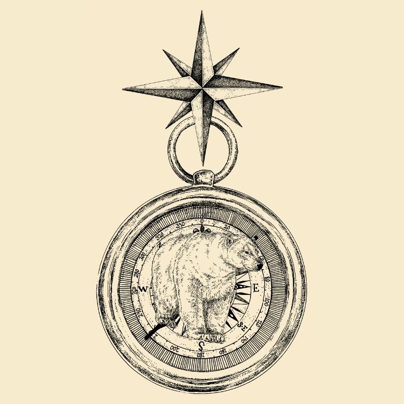 ARCTIC COMPASS