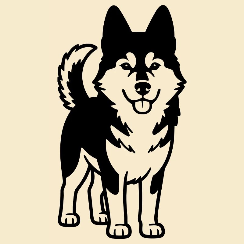 Husky-Hund