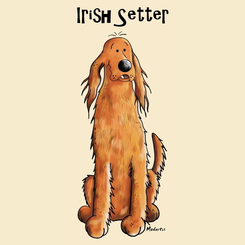 Happy Irish Setter