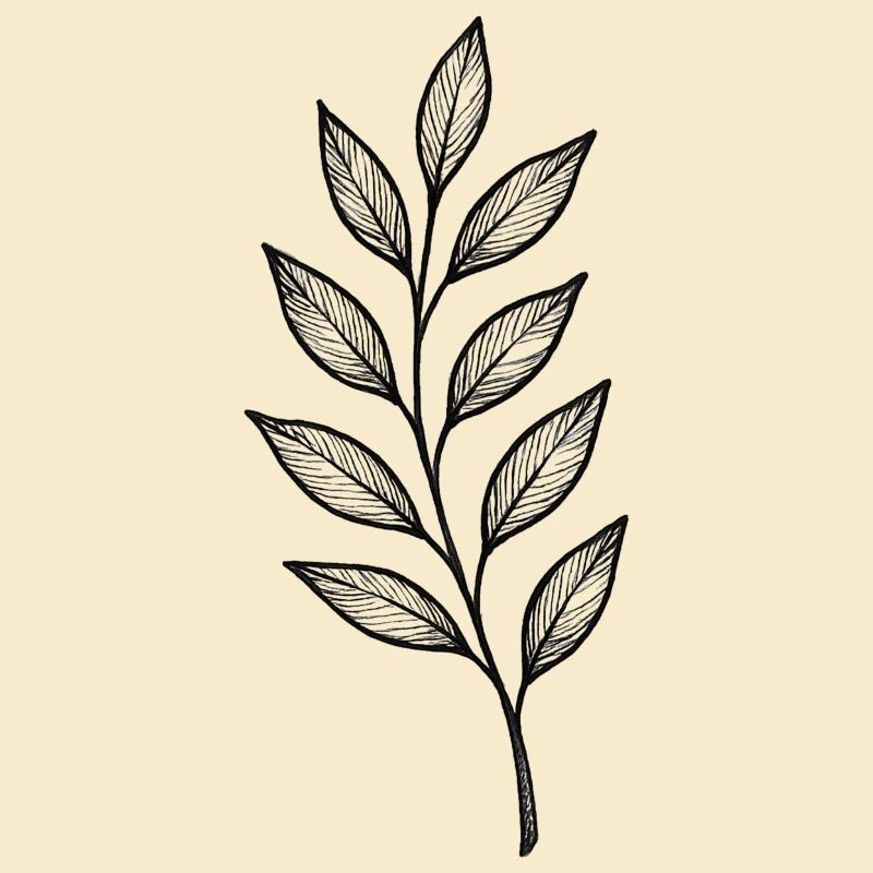 Black Leaves Gloss Pattern