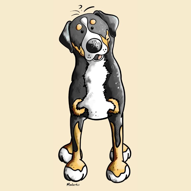 Witziger Schweizer Sennenhund