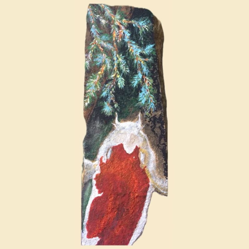 Japanese Koi Above Pine Fronds