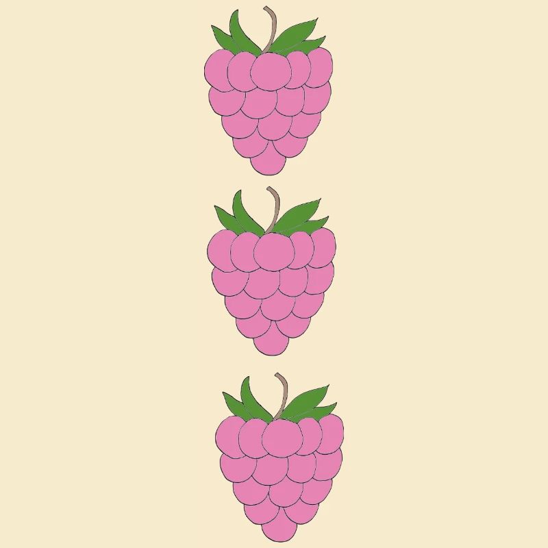 raspberries trio pattern