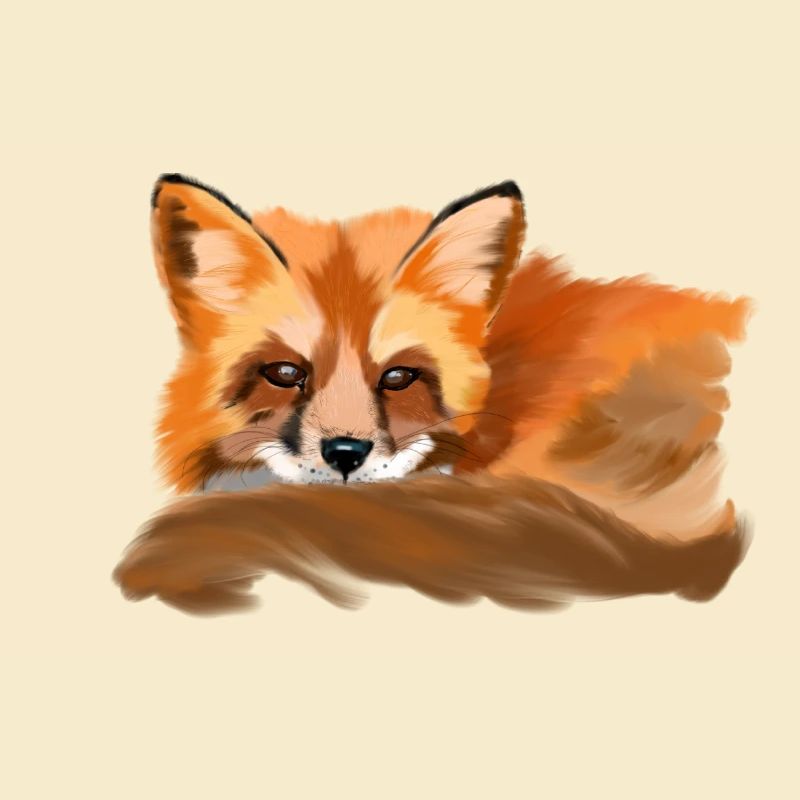 fox