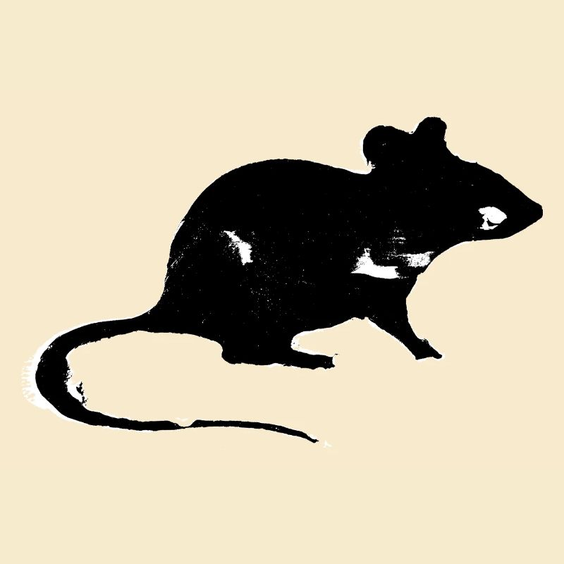 Rat