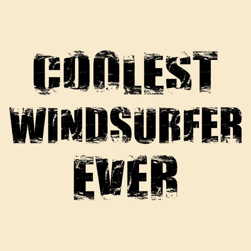 Coolest windsurfer ever