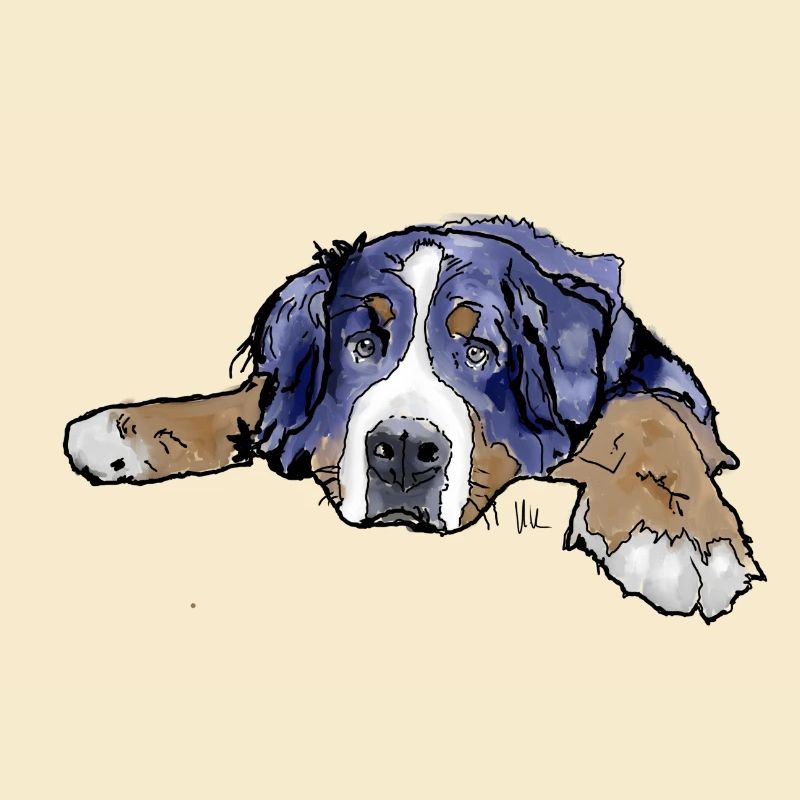 Berner Sennenhund