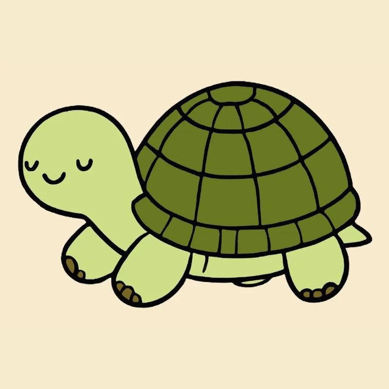 Schildkröte