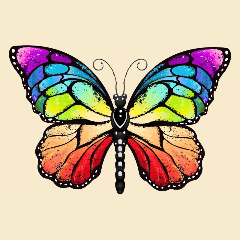 Rainbow pride butterfly