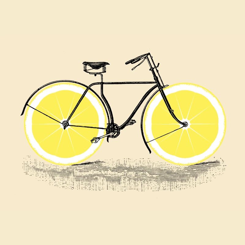 Cycle des agrumes