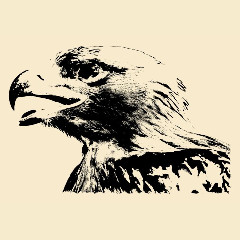 Aigle